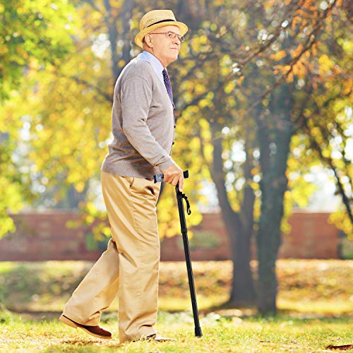 Folding Cane, Ohuhu 2 Pack Adjustable Foldable Walking Cane for Men, Women with 5 Adjustable Heights, Collapsible, Lightweight, Balancing Mobility Aid, Portable Hand Cane Walking Stick with T Handle