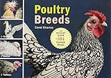 Poultry Breeds: Chickens, Ducks, Geese, Turkeys: The Pocket Guide to 104 Essential Breeds by Carol Ekarius