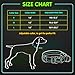 Flashseen LED Dog Collar, USB Rechargeable Glowing Pet Collar Night Safety LED Light Up Dog Cool Collars for Dogs with Nylon Webbing Perfect for Small, Medium, Large Dogs(Medium, Red)
