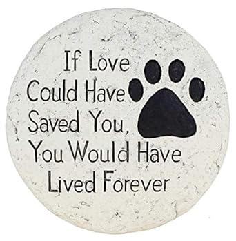if love could have saved you pet memorial