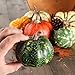 Factory Direct Craft Artificial Autumn Gourds, Pumpkins and Natural Pine Cones - Fall Decorating Kit