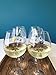 Cork & Leaf- Strong Magnetic Wine Glass Charms for Stem Glasses - Set of 12 Different Color Bling Drink Markers for Parties and Events Wine Charms for Glasses