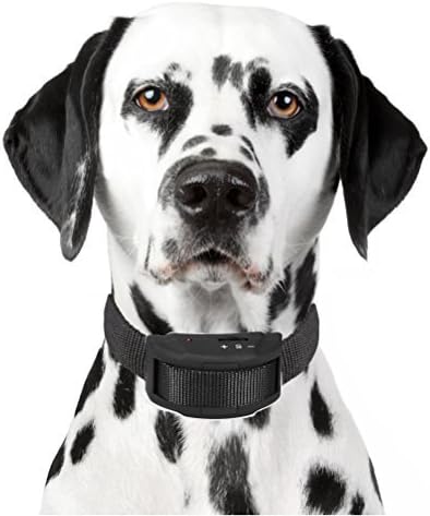 great dane bark collar