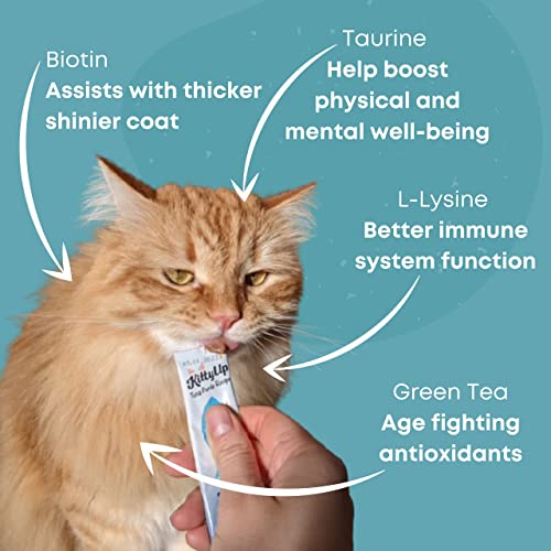 Kitty Up Lickable Cat Treat Pouches for Indoor Cats All Natural