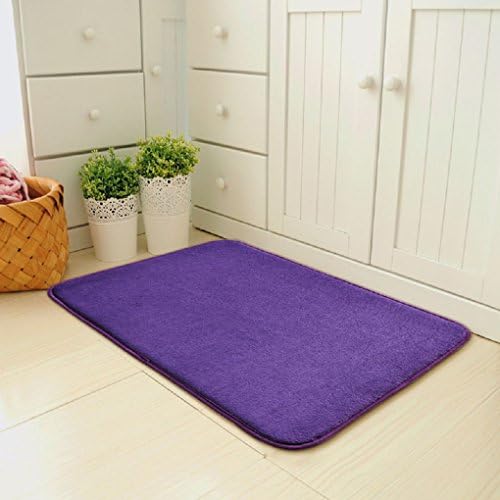 Sweetsky Indoor Outdoor Entrance Doormat Living Room Sleeping Room Bedroom Sofa Couch Kitchen Non-Slip Water Absorption Carpets Rugs Cushion 40x60cm/15.74x23.62"