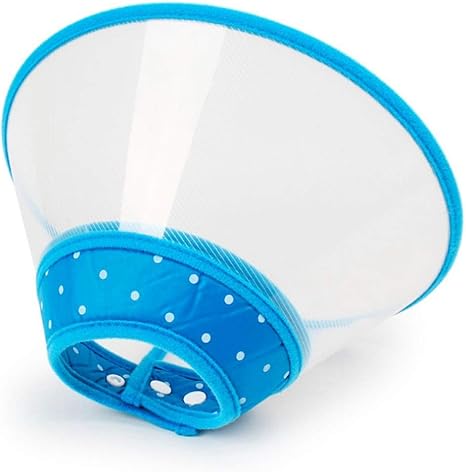 kitten vitamins and supplements