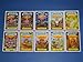Garbage Pail Kids Brand New Series3 (BNS3) Adam Bombing Set 10/10 + Wrapper
