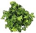 Organic Cilantro, 1 Bunch