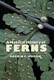 A Natural History of Ferns by 