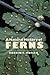 A Natural History of Ferns by 