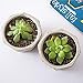Set of 2 Modern Cement Octagon Planter Pot, 5-Inch Succulent & Cactus Container, Gray