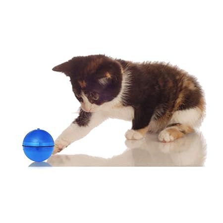 XSARACH Bolas Juguetes de Gatos,Pelotas Juguete Interactivo para ...