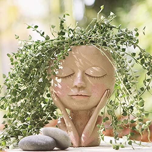 LucaSng Face Flower Pot Head Planter Pot, Cute Female Head Design Succulents Plant Pot with Drainage Hole/Cactus Planter Indoor Outdoor Resin Planter, Cute Plants Flower Pot,No Plant (B)
