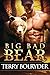Big Bad Bear (Soldier Bears Book 1)
