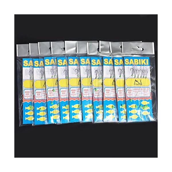 Mizugiwa-10-Packs-Freshwatersaltwater-Fishing-Sabiki-Bait-Rigs-Fish-Feather-4-Hooks