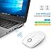 VicTsing 2.4G Slim Wireless Mouse with Nano Receiver, Noiseless and Silent Click with 1600 DPI for PC, Laptop, Tablet, Computer, and Mac, White and Golden