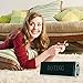 DOTING Bluetooth Speakers,Wireless Speaker 20W Drive and 13W Subwoofer with DSP Technology Enhanced Bass, Portable Speaker with NFC,Touch,Dsp,HDSound,Bluetooth 4.2,Built in Mic (Silver)