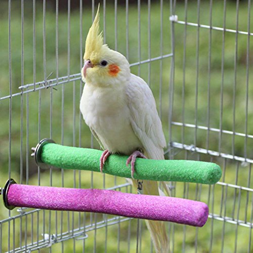 Borange Parrot Perches Bird Stand Natural Wood Quartz Sand Branches Nail Perch for Medium Large Birds African Grey Cockatiel Parakeet Conure Cage Accessory Pack of 2 (Upgraded New Version 25cm/10")