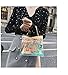 Holographic Transparent Retro Bag Women's Clear Chain Cross Body Bag Shoulder Bag