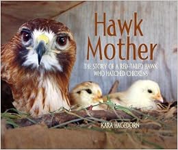 Image result for hawk mother the story of a red tailed hawk who hatched chickens