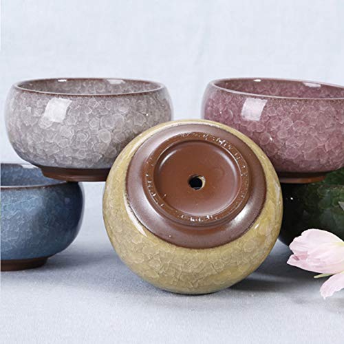 G-LEAF Succulent Plant Pot, Ceramic Cactus Planter Small Flower Pots, Chinese Style Decor Herb Plant Holder for Indoor Outdoor Home Garden Office Plant Container, (6, Coloful)