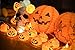 JamBer Halloween Pumpkin Fairy Lights 20LED Pumpkin String Lights 6.9Feet Battery Operated Halloween Lights 3D Halloween Orange Pumpkin Lights for Halloween Party Decorations,Warm White