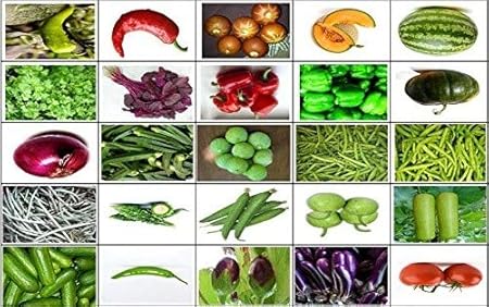 OL Seeds 27 Variety Pack of Desi Vegetable and Fruit Seeds for Terrace and Kitchen Gardening