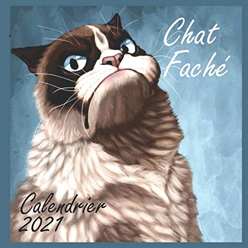 Calendrier 21 Calendrier 21 Calendrier 8 5 X 8 5 Calendrier Pour Les Amoureux Des Chats Et Surtout Les Chats En Colere French Edition Your Book Choose Amazon Com Books