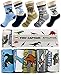 Tiny Captain Boy Dinosaur Socks 4-7 Year Old Boys Crew Cotton Sock Perfect Age 5 Gift Set (Medium, Blue and Grey)