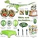 Dinosaur Party Supplies Birthday Party Decorations - for 16 Guests (161 Pieces)