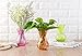 Outflower 1pc Colorful Hydroponic Vase Hyacinth Glass Vase Desktop Plant Hydroponic Vase for Home/Office Decor(Green)