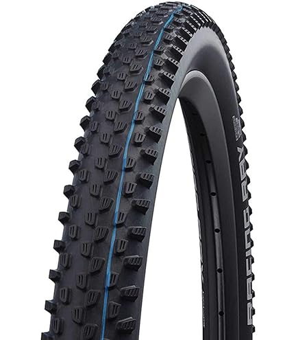 SCHWALBE EVOLUTION \"RACING RALPH\" 2本 416+wlRm1cL.jpg