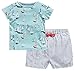 Fiream Little Boys' Summer Cotton shortsleeve clothing Sets(20106TZ,3T)