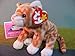TY Beanie Baby - AMBER the Gold Tabby Cat