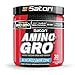 iSatori Amino-GRO BCAA Powder, Branched Chain Amino Acids with Glutamine, Electrolyte Powder & Bio-GRO Bio-Active Peptides for Muscle Growth & Post Workout Recovery, Blue Razz Snow Cone (30 Servings)