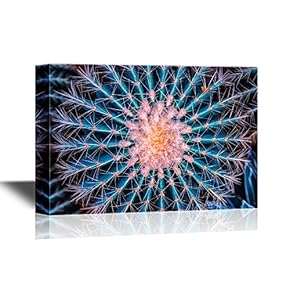 Floral Canvas Wall Art - Cactus Close Up - Gallery Wrap Modern Home Art | Ready to Hang - 12x18 inches