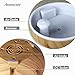 Large Essential Oil Aroma Diffuser 600ML, Aromatherapy Cool Mist Humidifier, Ultra Quiet- Globe- Wood Grain- Filter Free-Last Overnight