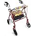 Crutcheze Daisy Bouquet Rollator Walker Seat and Backrest Covers Designer Fashion Accessories Made in USA