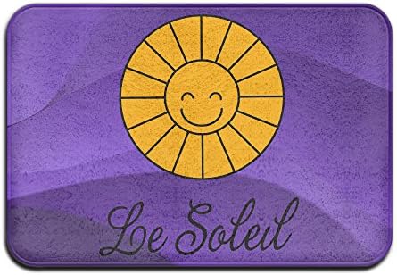 French Spring Summer School Lesson Sunny Sun Rectangular Doormat Funny Comfortable Thickness 2-inch(approx. 4.5 Cm) Coral Velvet Outside Doormat
