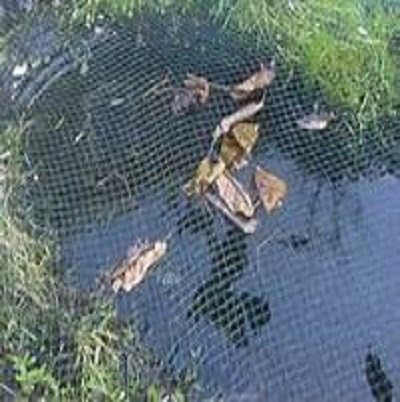 Bassin Filet Largeur Grobmaschig 8 X 6 Mètres 13 X 13 Mm