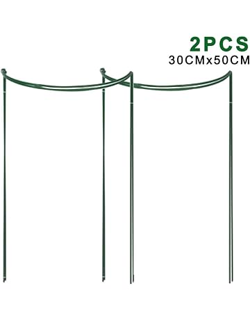 Amazon.es: Soportes para plantas: Jardín