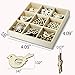 YuQi 45 Pcs Wood Embellishments Laser Cut Birds and Butterfly Ornaments Natural Shapes with Gift Box (Birds & Butterfly)