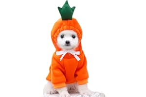 WIZ BBQT Dog Christmas Halloween Costumes,Dog Hoodies for Small Dogs Cats, Cat Puppy Outfits,Yorkie Chihuahua Pomeranian Clothes (X-Small, Orange-Carrot)