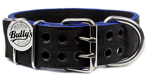 Pitbull Collar, Dog Collar for Large Dogs, Heavy Duty Nylon, Stainless Steel Hardware (Medium, Black with Blue Trim)