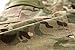 TACVASEN Tactical Airsoft Paintball Shooting Cargo Ripstop Combat Unifrom Camo Pants for Men Multicam/CP