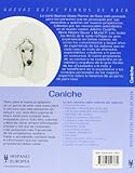 Image de Caniche. Nuevas guias perros de raza (Nuevas Guias: Perros De Raza / New Guides: Dog Breeds) (Spanish Edition)