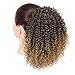 AISI BEAUTY Drawstring Ponytail Extension Kinky Ponytail Puff Extension Clip in Natural Hair Ponytail for Women Synthetic Hairpiece Mixed Color (1B-27#)