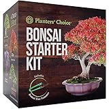 Bonsai Starter Kit - The Complete Growing Kit to Easily Grow 4 Bonsai Trees from Seed + Comprehensive Guide & Bamboo Plant Markers - Unusual Gardening Gifts Ideas for Women - Indoor Bonzai Tree Seeds