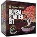 Bonsai Starter Kit - The Complete Growing Kit to Easily Grow 4 Bonsai Trees from Seed + Comprehensive Guide & Bamboo Plant Markers - Unusual Gardening Gifts Ideas for Women - Indoor Bonzai Tree Seeds primary