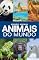 Livro Mundo Animal - Animais do Mundo